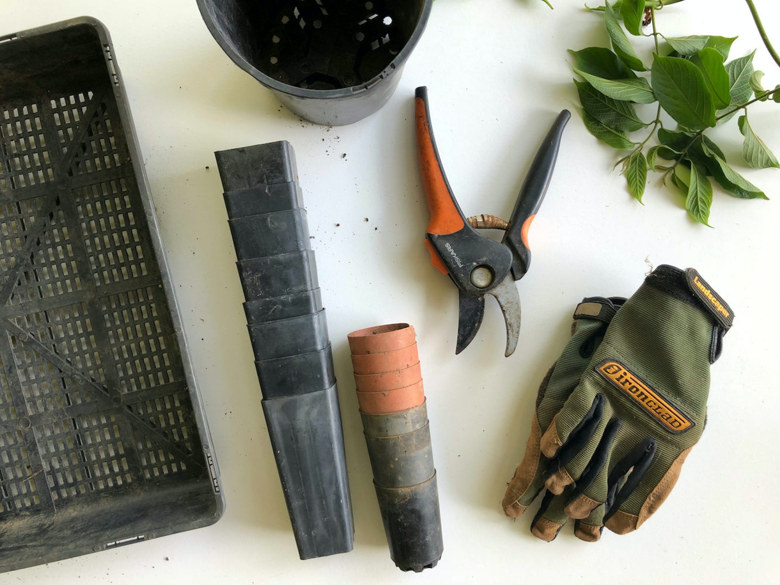 Cleaning-Edge-Garden-Tools
