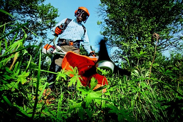 Mower-Trimmer-Garden-Lawnmower-Cleaning-Edge
